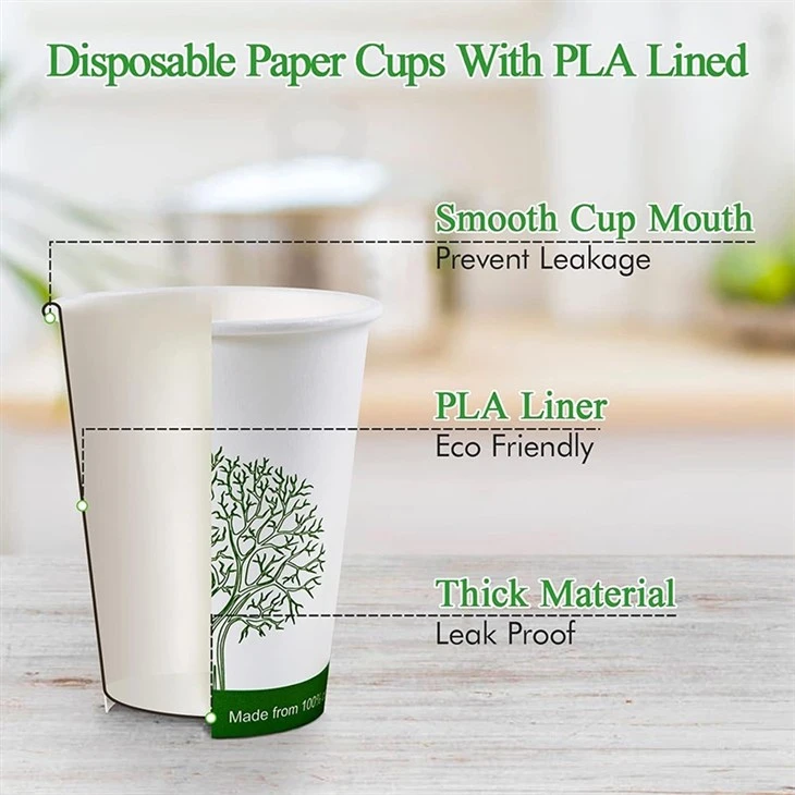 12 oz Compostable Paper Cups